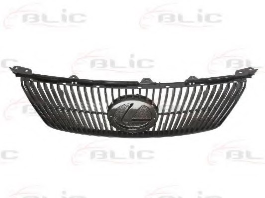 LEXUS 5311153120 Radiator Grille